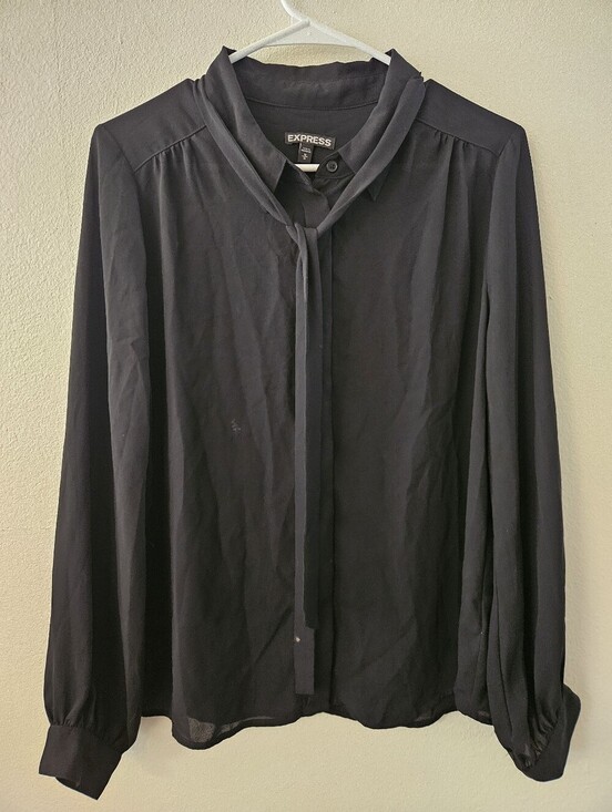 Express Tops - Express Womans Sheer Long Sleeve Black Blouse Size M